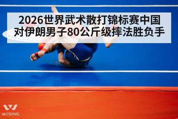 wushu sanda wrestling match